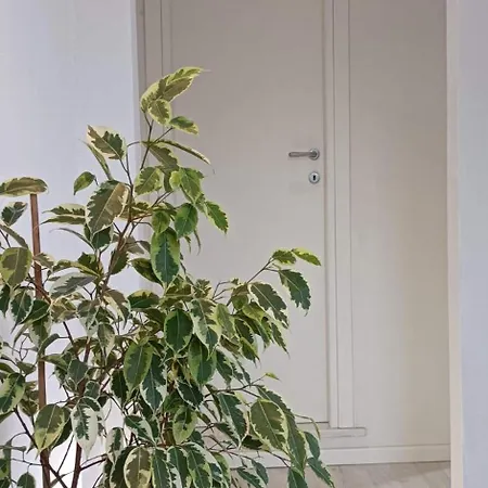 La Casina Versilia * Seravezza