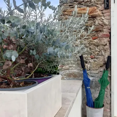 Dom wakacyjny La Casina Versilia *