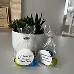 La Casina Versilia *