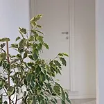 La Casina Versilia * Seravezza