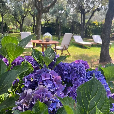 La Casina Versilia Seravezza
